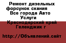 Ремонт дизельных форсунок скания HPI - Все города Авто » Услуги   . Краснодарский край,Геленджик г.